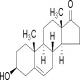 去氢表雄酮-CAS:53-43-0