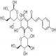 羟基红花黄色素A-CAS:78281-02-4