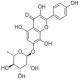 草质素苷-CAS:85571-15-9