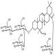 辽东楤木皂苷VII-CAS:340982-22-1