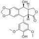 4'-去甲基表鬼臼毒素-CAS:6559-91-7