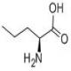 L-正缬氨酸-CAS:6600-40-4