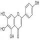野黄芩素-CAS:529-53-3