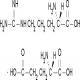 L-精氨酸-L-谷氨酸盐-CAS:4320-30-3