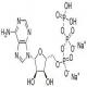 腺苷-5-三磷酸二钠盐-CAS:987-65-5