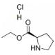 (R)-吡咯烷-2-羧酸乙酯盐酸盐-CAS:131477-20-8