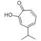 4-异丙基环庚三烯酚酮-CAS:499-44-5