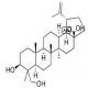 2,3-羟基白桦酸-CAS:85999-40-2