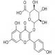 山奈酚葡萄糖醛酸苷-CAS:22688-78-4