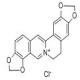 盐酸黄连碱-CAS:6020-18-4