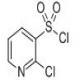 2-氯吡啶-3-磺酰氯-CAS:6684-06-6