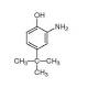 邻氨基对叔丁基酚-CAS:1199-46-8