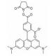5-羧基四甲基罗丹明琥珀酰亚胺酯-CAS:150810-68-7
