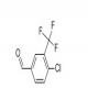 4-氯-3-三氟甲基苯甲醛-CAS:34328-46-6