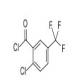2-氯-5-三氟甲基苯甲酰氯-CAS:657-05-6