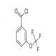 3-(三氟甲氧基)苯甲酰氯-CAS:86270-03-3