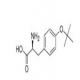 O-苄基-L-酪氨酸苄酯盐酸盐-CAS:52142-01-5