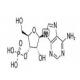 腺苷-3'-磷酸-CAS:84-21-9