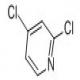 2,4-二氯吡啶-CAS:26452-80-2