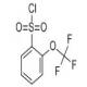 2-(三氟甲氧基)苯磺酰氯-CAS:103008-51-1