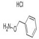 苄氧基胺盐酸盐-CAS:2687-43-6