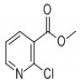 2-氯烟酸甲酯-CAS:40134-18-7