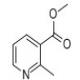 2-甲基烟酸甲酯-CAS:65719-09-7