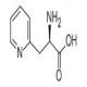 3-(2-吡啶基)-D-丙氨酸-CAS:37535-52-7