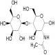 N -乙酰- D- 乳糖胺-CAS:32181-59-2