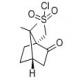 左旋樟脑-10-磺酰氯-CAS:39262-22-1