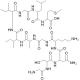 β-淀粉状蛋白 (25-35)-CAS:131602-53-4