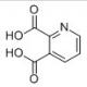 2,3-吡啶二甲酸-CAS:339155-13-4
