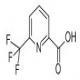 6-(三氟甲基)吡啶-2-甲酸-CAS:131747-42-7