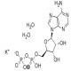 二磷酸腺苷单钾盐-CAS:72696-48-1