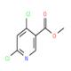 4,6-二氯烟酸甲酯-CAS:65973-52-6