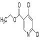 4,6-二氯烟酸乙酯-CAS:40296-46-6