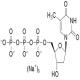 2'-脱氧胸苷-5'-三磷酸三钠，二水-CAS:18423-43-3