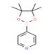 4-吡啶硼酸频哪醇酯-CAS:181219-01-2