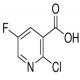 2-氯-5-氟烟酸-CAS:38186-88-8