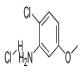 2-氯-5-甲氧基苯胺盐酸盐-CAS:85006-21-9