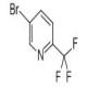 5-溴-2-三氟甲基吡啶-CAS:436799-32-5