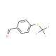 对三氟甲硫基苯甲醛-CAS:4021-50-5