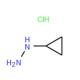 环丙基肼盐酸盐-CAS:213764-25-1