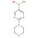 邻二氟甲氧基苯硼酸-CAS:947533-11-1