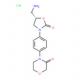(S)-4-(4-(5-(胺甲基)-2-羰基恶唑啉-3-基)苯基)吗啉-3-酮 盐酸盐-CAS:898543-06-1