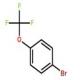 1-溴-4-(三氟甲氧基)苯-CAS:407-14-7