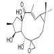 环氧续随子醇-CAS:28649-60-7