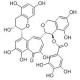 茶黄素-3-没食子酸-CAS:30462-34-1