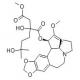 三尖杉酯碱-CAS:26833-85-2