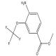 4-氨基-3-三氟甲氧基苯甲酸甲酯-CAS:1011531-66-0